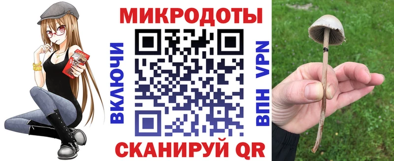 shop наркотические препараты  Адыгейск  Галлюциногенные грибы Magic Shrooms 